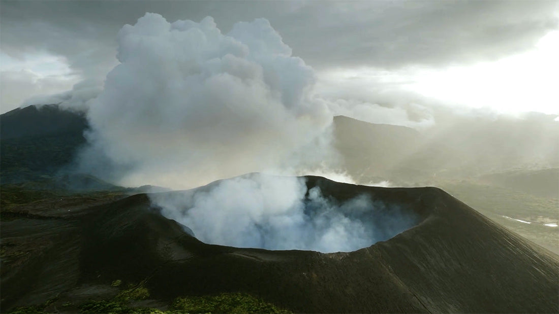 Nature’s Alchemy: Costa Rica Discovery Trip, Part 2