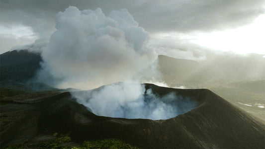 Nature’s Alchemy: Costa Rica Discovery Trip, Part 2
