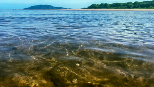 Learning to Flow with Change — Costa Rica’s Beaches, Food, and the Art of Surrender